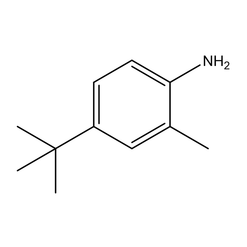 4-(terc-butil)-2-metil-anilin