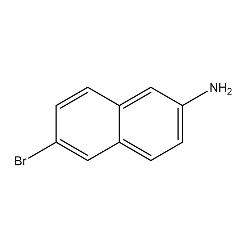 6-bróm-naftalin-2-amin