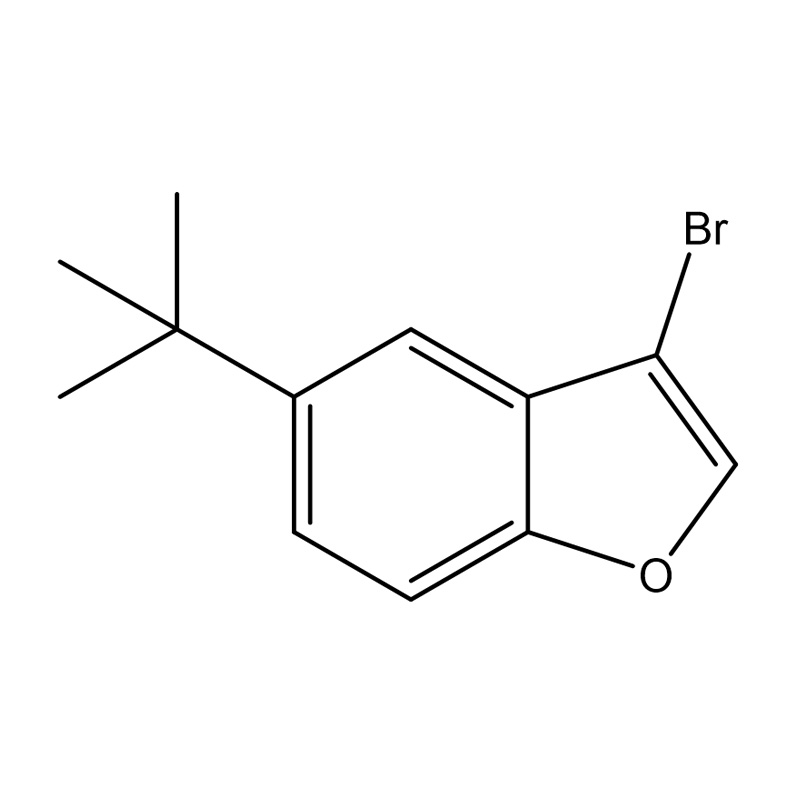 3-Bróm-5-terc-butil-benzofurán